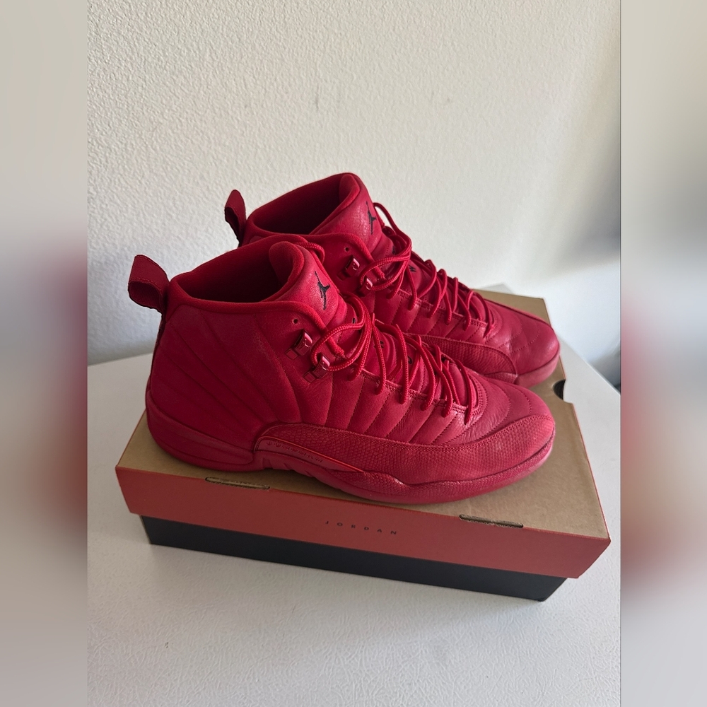 Air Jordan RETRO 12